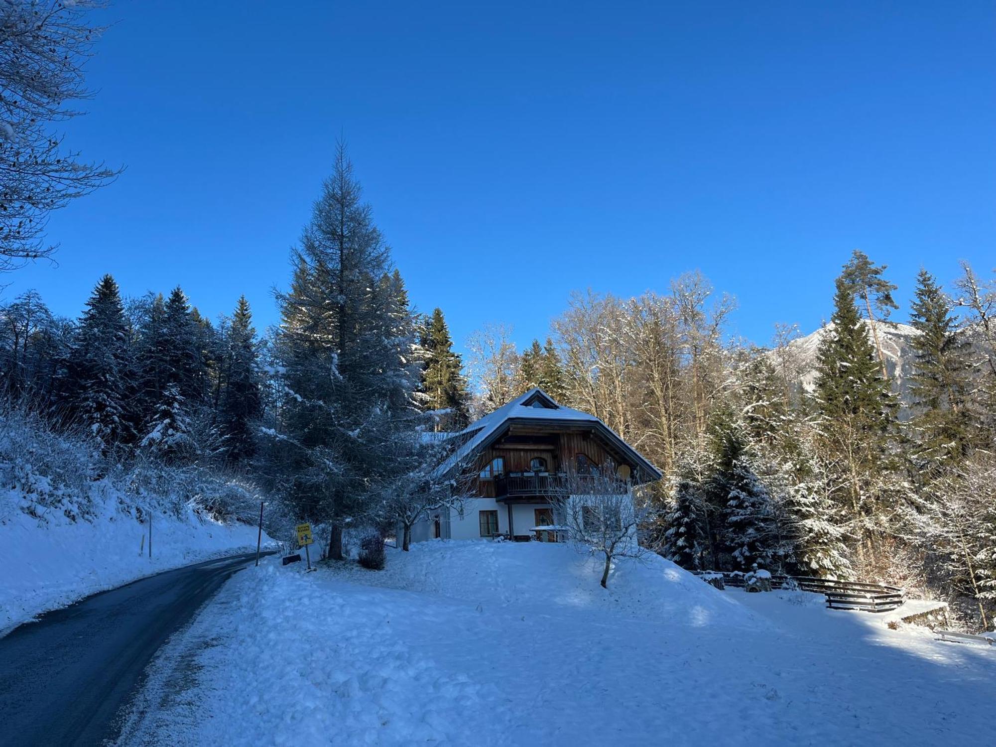 Ferienhaus Waldhauser Hermagor-Pressegger See Exterior foto